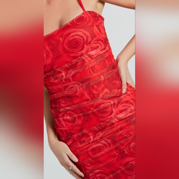 A Rose Mesh Mini Dress - Picture 3 of 4